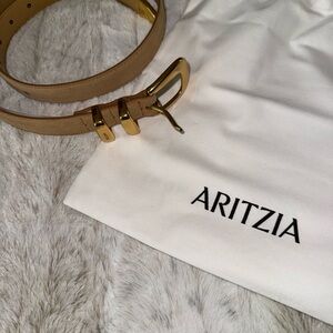 Aritzia Suede Belt in Caramel & Gold